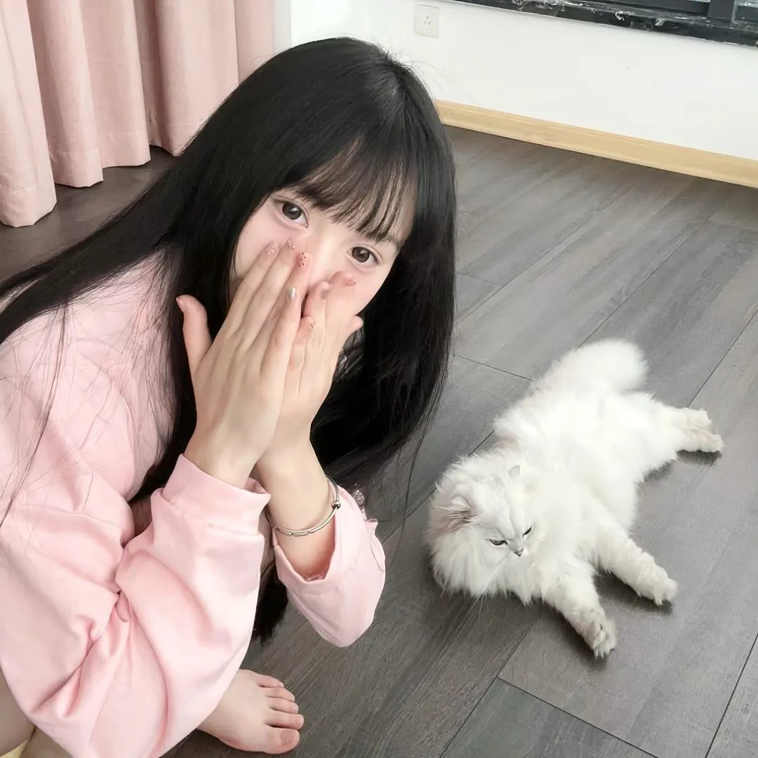 西游记八戒降妖